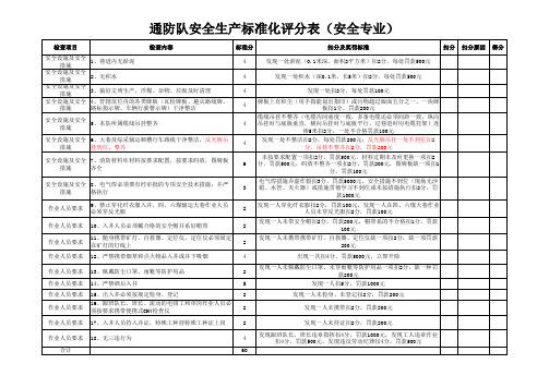 安全专业安全生产标准化评分表