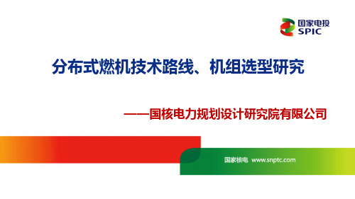 1 分布式燃机技术路线、机组选型研究(提)