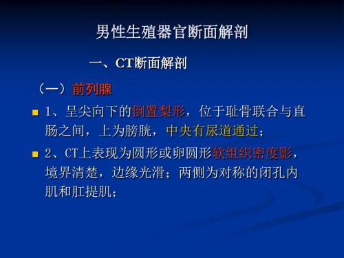 影像解剖男性生殖系统PPT课件