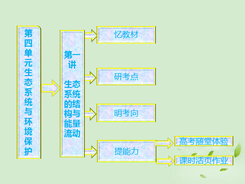 高中生物一轮复习 第四单元 第一讲 生态系统的结构与能量流动课件 新人教版必修3