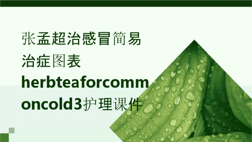 张孟超治感冒简易治症图表HerbTeaforCommonCold3护理课件