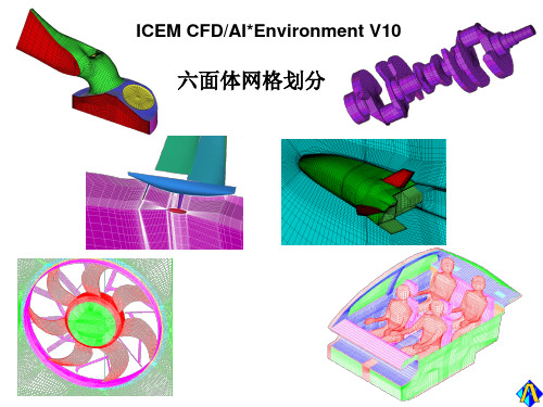 ICEM六面体网格划分