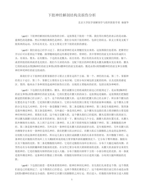 下肢神经解剖结构及损伤分析