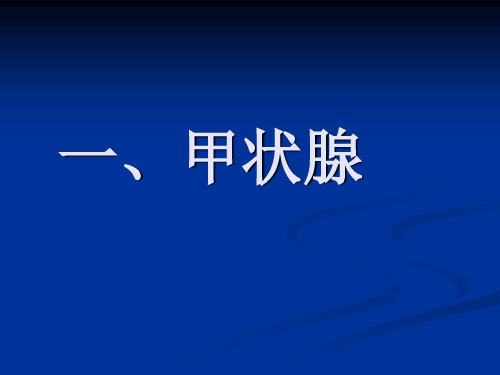 甲状腺习题【13页】