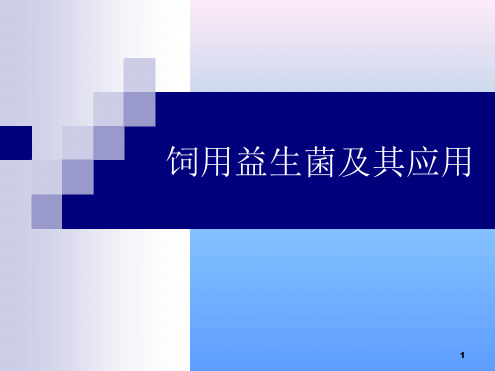 饲用益生菌及其应用演示课件