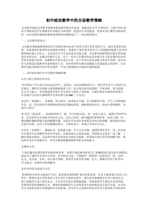 初中政治教学中的分层教学策略