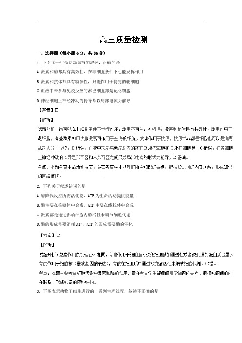 高三生物上期中-文登市2014届高三上学期期中考试生物试题及答案统考 (A卷)