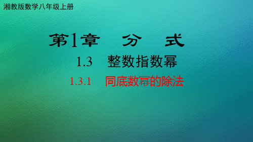 湘教版数学八年级上册 1.3  整数指数幂(共3课时)