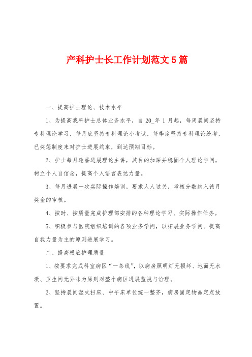 产科护士长工作计划范文5篇