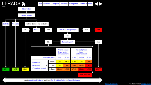 肝脏 影像 LI-RADS v20131