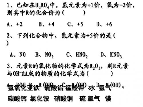 化学式与化合价的计算第四课时课件