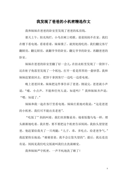 我发现了爸爸的小机密精选作文