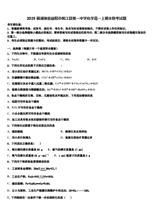 2025届湖南省益阳市桃江县第一中学化学高一上期末联考试题含解析