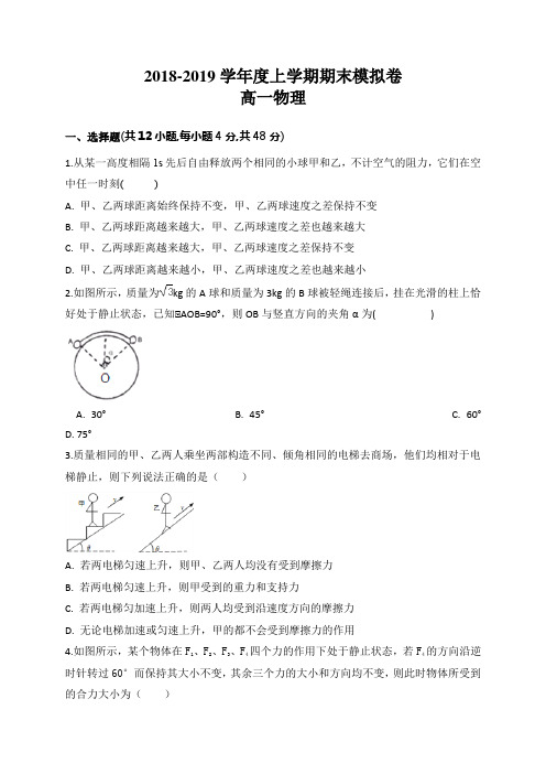 安徽省衡水滁州分校2018-2019学年度上学期高一物理期末模拟卷