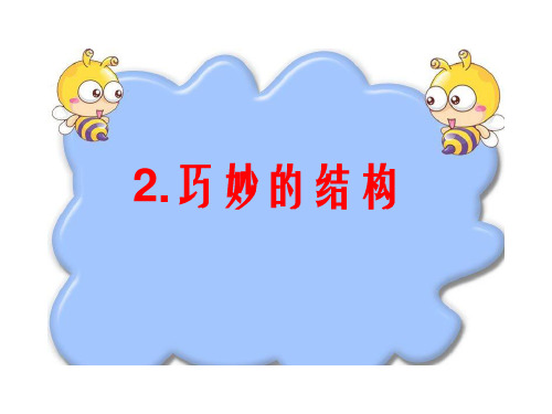 六年级科学下册课件-2巧妙的结构3-冀人版(共41张ppt)