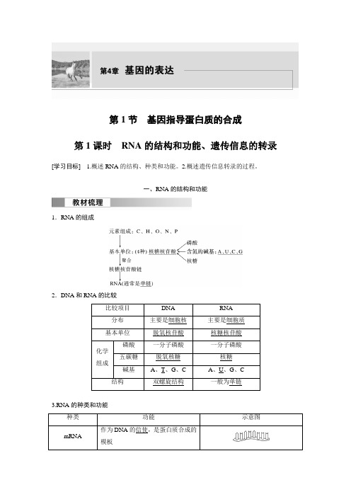 2024年高中生物新教材同步必修第二册 第4章 第1节 第1课时 RNA的结构和功能、遗传信息的转录