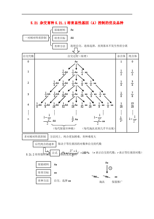 高考生物二轮复习 生物知识结构网络(十二)