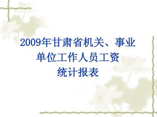 2009年度工资统计讲解(2009-12-12)