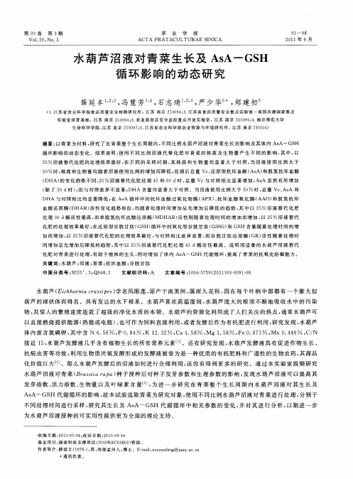 水葫芦沼液对青菜生长及AsA-GSH循环影响的动态研究