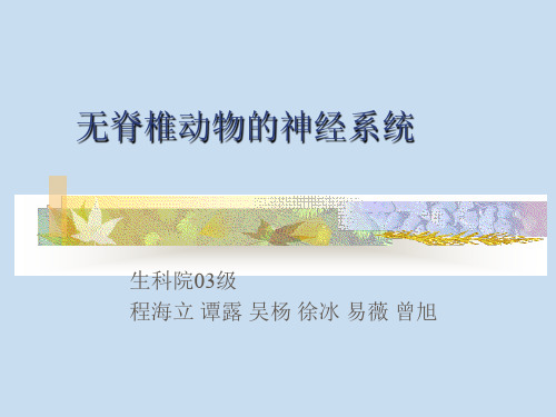 无脊椎动物的神经系统