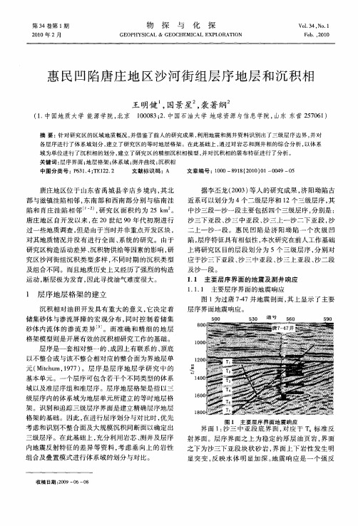 惠民凹陷唐庄地区沙河街组层序地层和沉积相