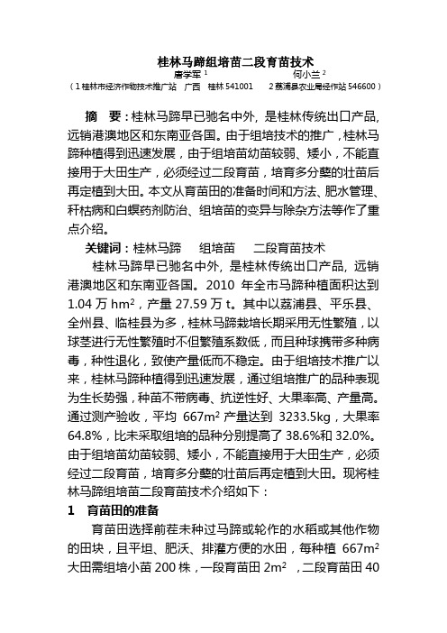 桂林马蹄组培苗二段育苗技术