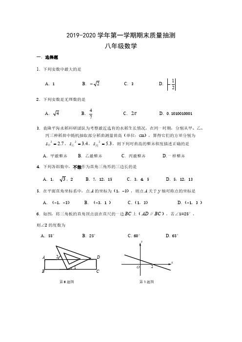 2019-2020年深圳市统考初二(八年级)数学期末试题及答案