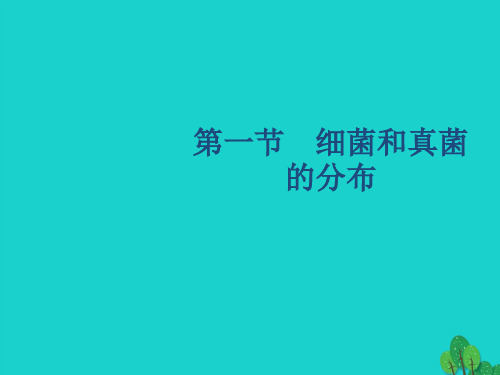 人教版八年级生物上册 5.4.1细菌和真菌的分布 课件 (共23张PPT)