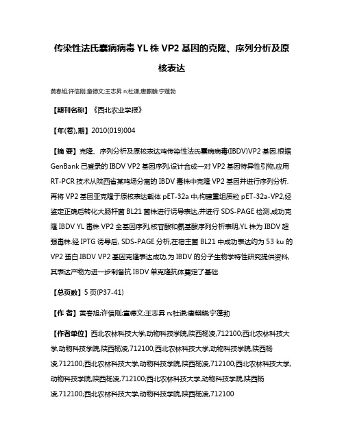 传染性法氏囊病病毒YL株VP2基因的克隆、序列分析及原核表达