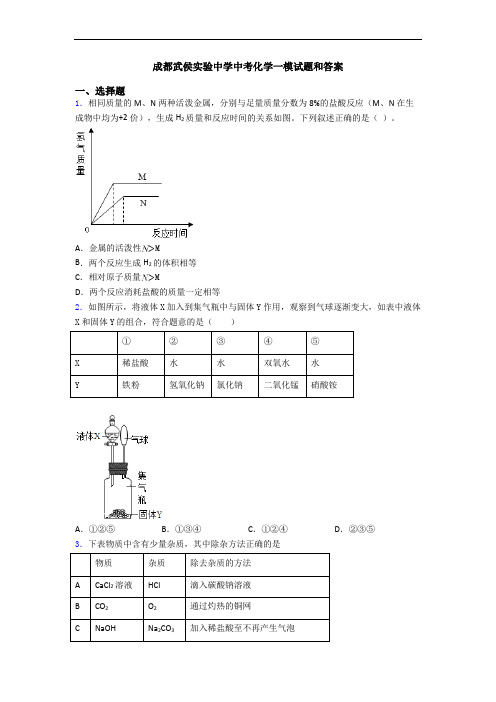 成都武侯实验中学中考化学一模试题和答案