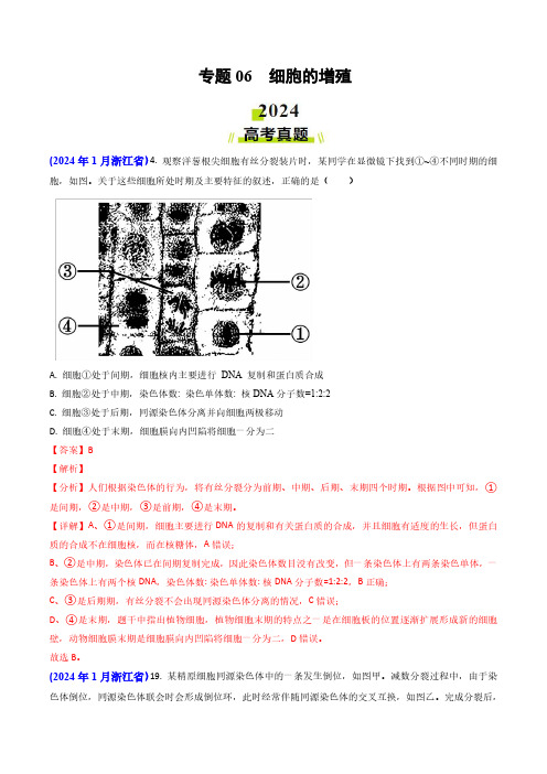 专题06 细胞的增殖-2024年高考真题和模拟题生物分类汇编(教师卷)