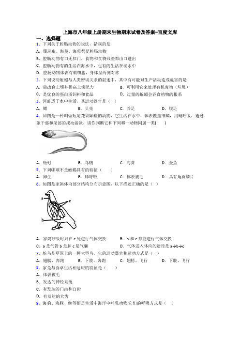 上海市八年级上册期末生物期末试卷及答案-百度文库