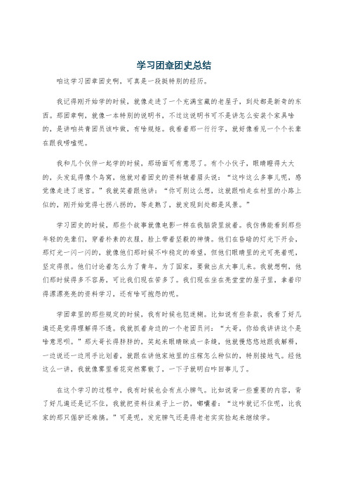 学习团章团史总结