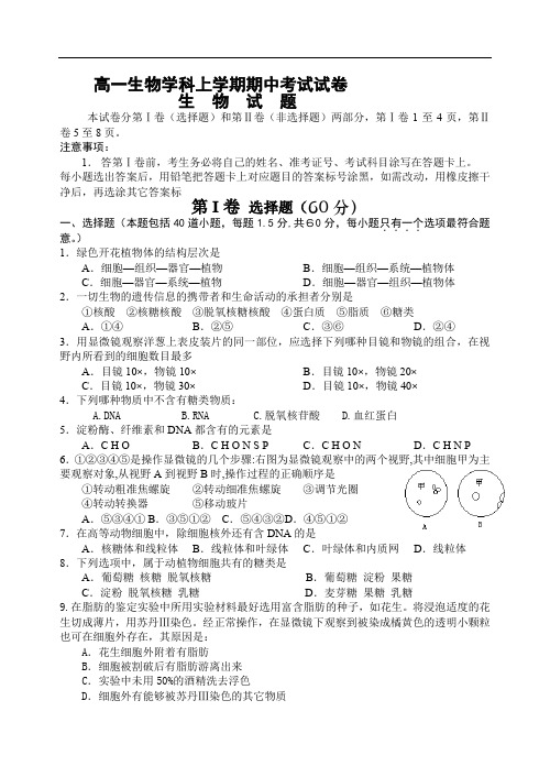 高一生物学科上学期期中考试试卷.doc