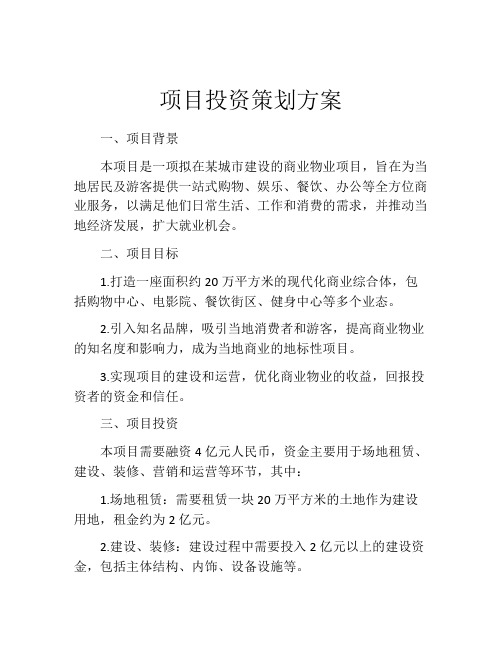 项目投资策划方案 (2)