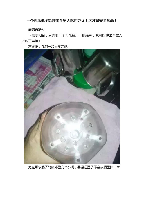 一个可乐瓶子能种出全家人吃的豆芽！这才是安全食品！