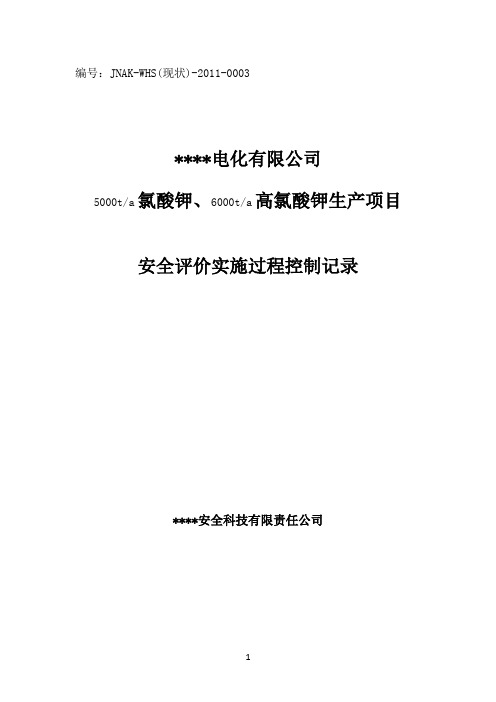 某化工厂  氯酸盐安全评价实施过程控制记录(安评换证资料)2