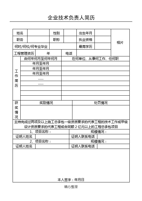 企业技术经验负责人简历