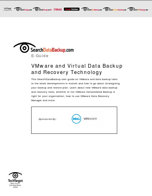 VMware 和虚拟数据备份和恢复技术说明书
