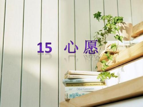15 心愿
