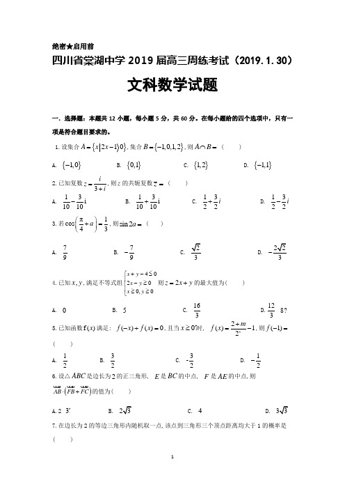 四川省棠湖中学2019届高三周练考试(2019.1.30)数学(文)试题及答案