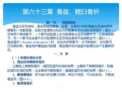 骨外科教学课件：第六十三章  骨盆、髋臼骨折