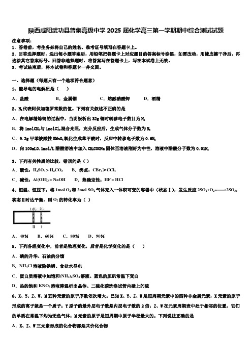 陕西咸阳武功县普集高级中学2025届化学高三第一学期期中综合测试试题含解析