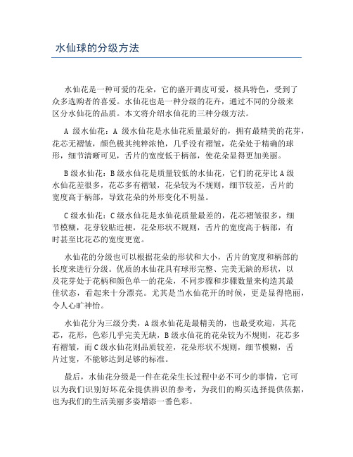 水仙球的分级方法