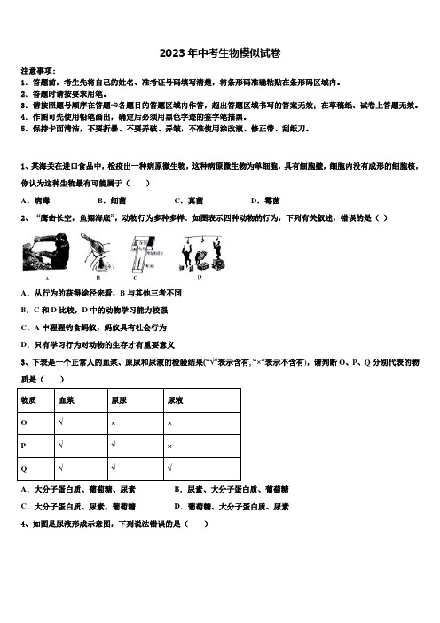 新疆维吾尔自治区伊犁哈萨克自治州伊宁县2023届中考生物模试卷含解析