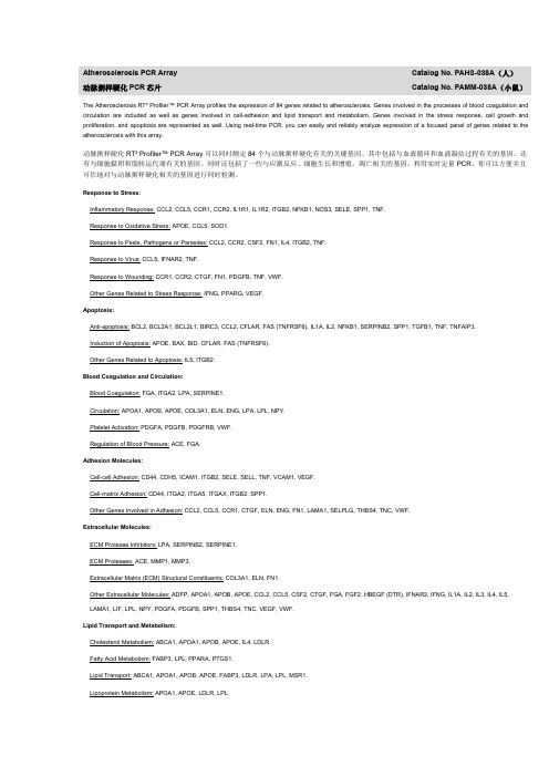 动脉粥样硬化PCR array 芯片