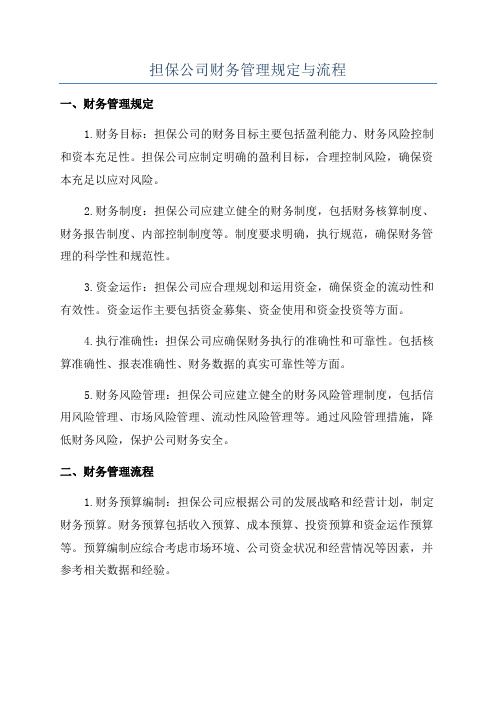 担保公司财务管理规定与流程