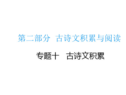 中考语文总复习专题课件：专题十古诗文积累(共29张PPT)