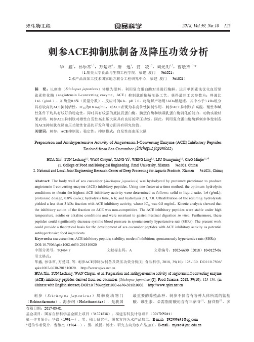 刺参ACE抑制肽制备及降压功效分析