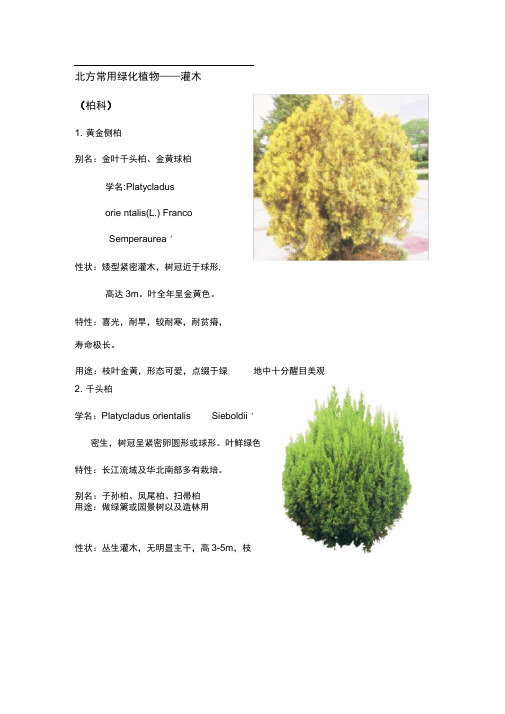 北方园林绿化常用植物-灌木